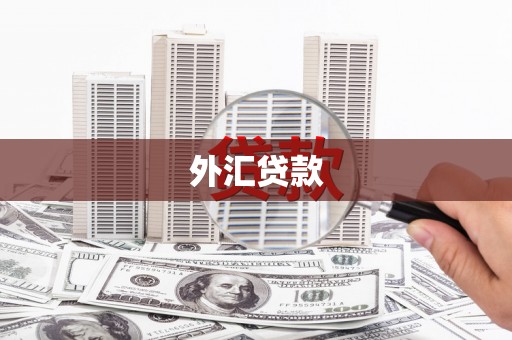 内埔外汇贷款