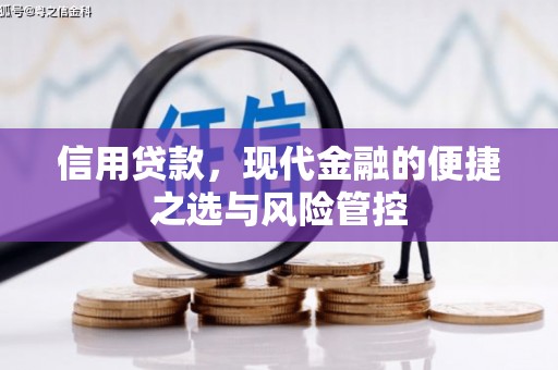 内埔信用贷款，现代金融的便捷之选与风险管控