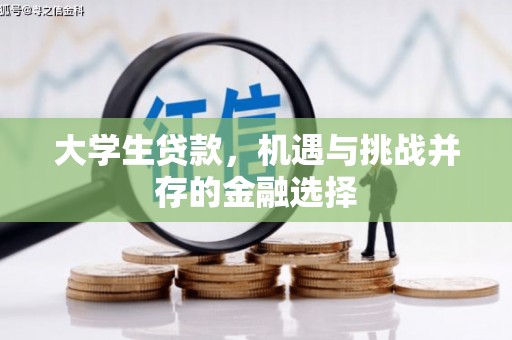 内埔大学生贷款，机遇与挑战并存的金融选择