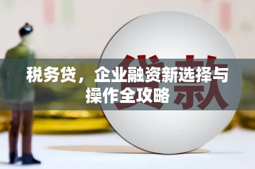 内埔税务贷，企业融资新选择与操作全攻略