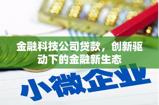 内埔金融科技公司贷款，创新驱动下的金融新生态