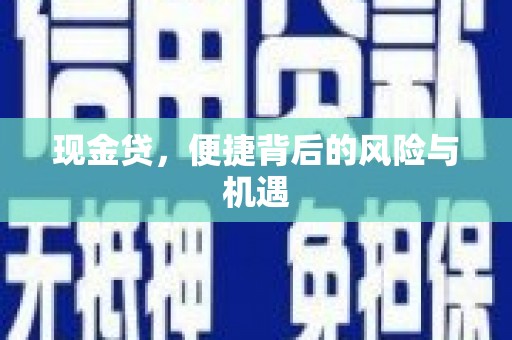 内埔现金贷，便捷背后的风险与机遇