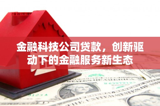 内埔金融科技公司贷款，创新驱动下的金融服务新生态