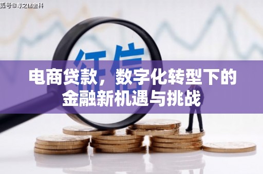 内埔电商贷款，数字化转型下的金融新机遇与挑战