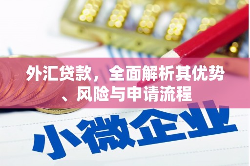 内埔外汇贷款，全面解析其优势、风险与申请流程