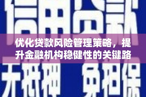 内埔优化贷款风险管理策略，提升金融机构稳健性的关键路径