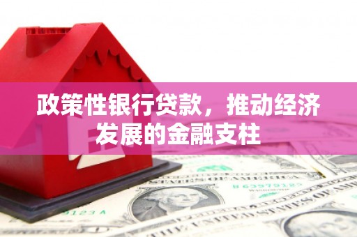 内埔政策性银行贷款，推动经济发展的金融支柱