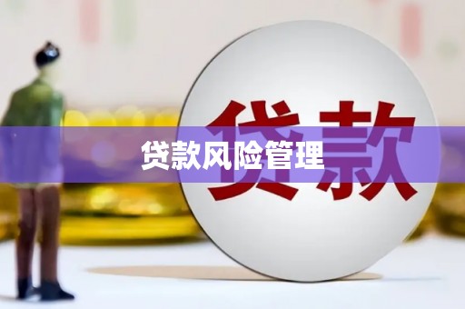 内埔贷款风险管理