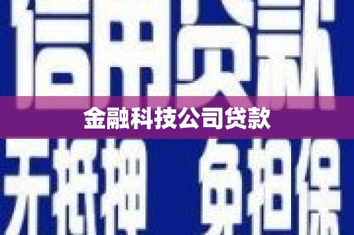 内埔金融科技公司贷款