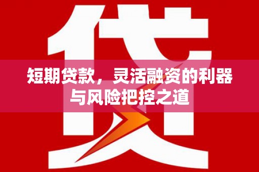 内埔短期贷款，灵活融资的利器与风险把控之道