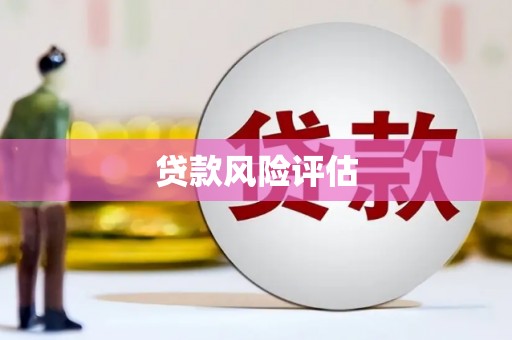 内埔贷款风险评估