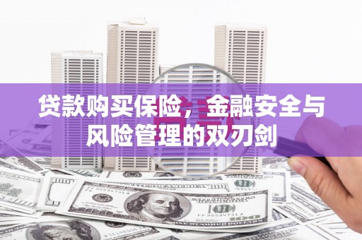 内埔贷款购买保险，金融安全与风险管理的双刃剑