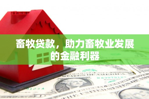 内埔畜牧贷款，助力畜牧业发展的金融利器
