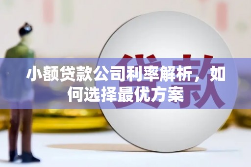 内埔小额贷款公司利率解析，如何选择最优方案