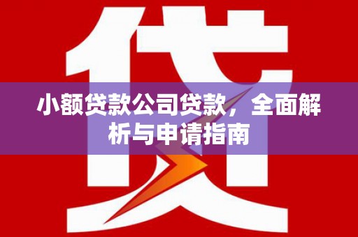 内埔小额贷款公司贷款，全面解析与申请指南