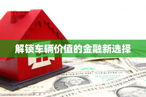 内埔解锁车辆价值的金融新选择
