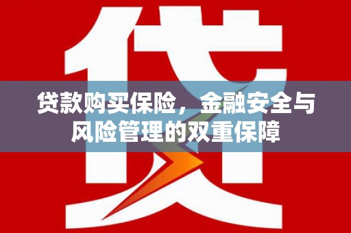 内埔贷款购买保险，金融安全与风险管理的双重保障