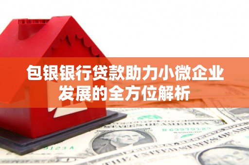 内埔包银银行贷款助力小微企业发展的全方位解析