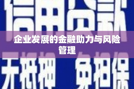 内埔企业发展的金融助力与风险管理