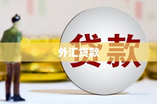 内埔外汇贷款
