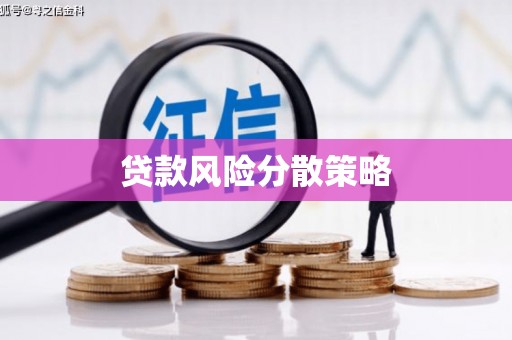 内埔贷款风险分散策略