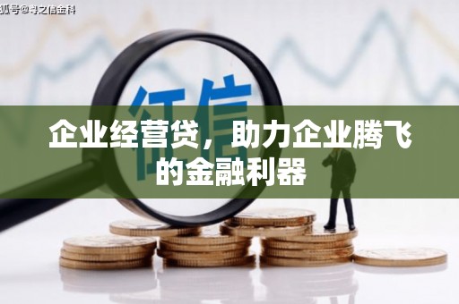 内埔企业经营贷，助力企业腾飞的金融利器