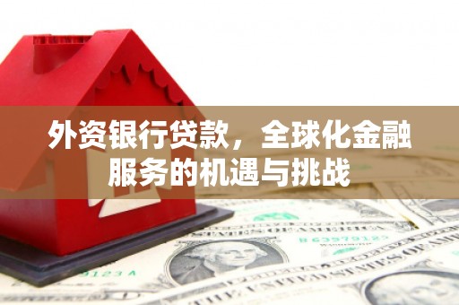 内埔外资银行贷款，全球化金融服务的机遇与挑战