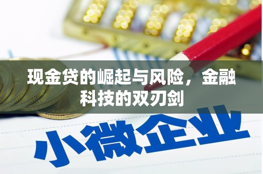 内埔现金贷的崛起与风险，金融科技的双刃剑