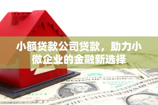 内埔小额贷款公司贷款，助力小微企业的金融新选择