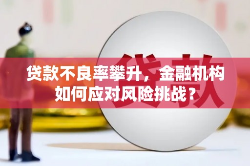 内埔贷款不良率攀升，金融机构如何应对风险挑战？