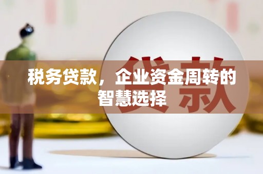 内埔税务贷款，企业资金周转的智慧选择