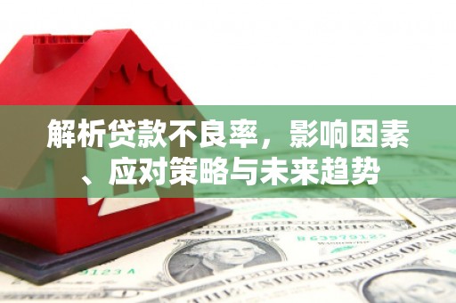 内埔解析贷款不良率，影响因素、应对策略与未来趋势