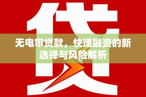 内埔无电审贷款，快速融资的新选择与风险解析