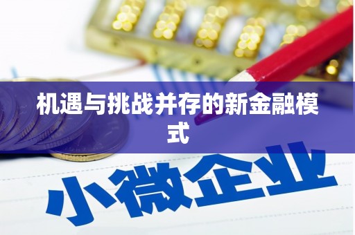 内埔机遇与挑战并存的新金融模式