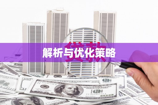 内埔解析与优化策略