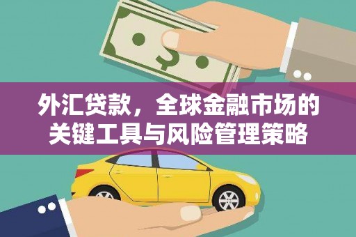 内埔外汇贷款，全球金融市场的关键工具与风险管理策略