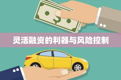 内埔灵活融资的利器与风险控制