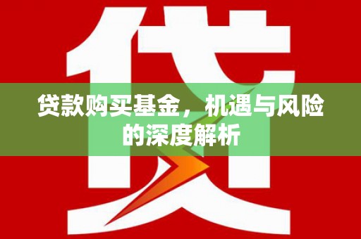 内埔贷款购买基金，机遇与风险的深度解析