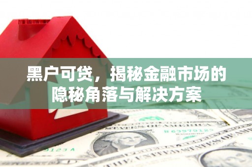 内埔黑户可贷，揭秘金融市场的隐秘角落与解决方案
