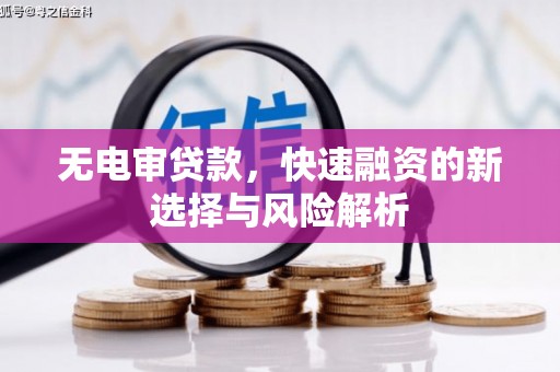 内埔无电审贷款，快速融资的新选择与风险解析