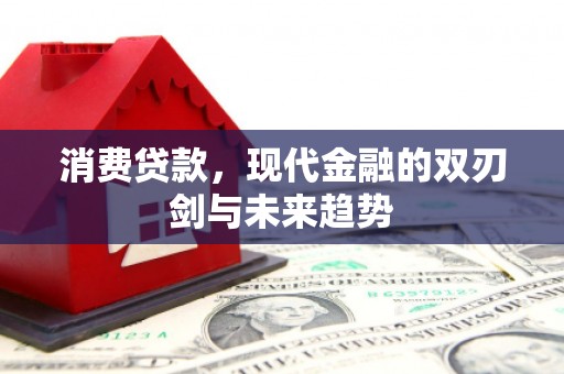 内埔消费贷款，现代金融的双刃剑与未来趋势
