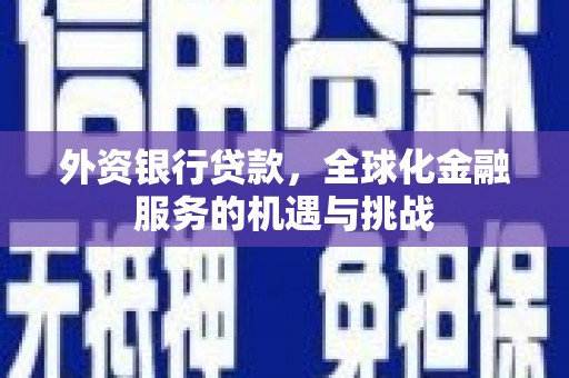 内埔外资银行贷款，全球化金融服务的机遇与挑战