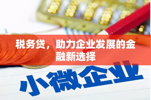内埔税务贷，助力企业发展的金融新选择