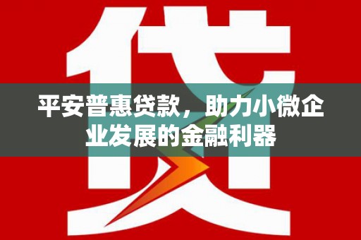 内埔平安普惠贷款，助力小微企业发展的金融利器