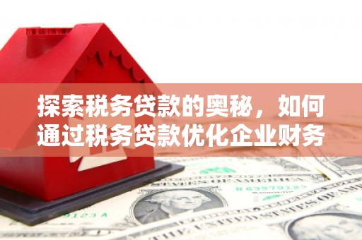 内埔探索税务贷款的奥秘，如何通过税务贷款优化企业财务