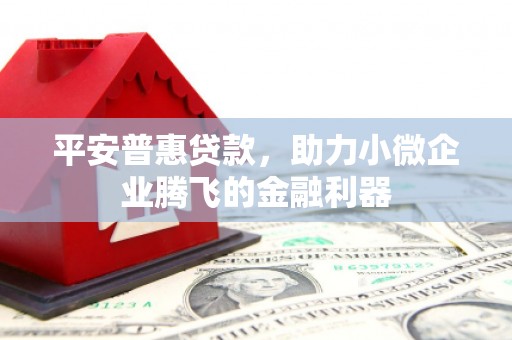 内埔平安普惠贷款，助力小微企业腾飞的金融利器