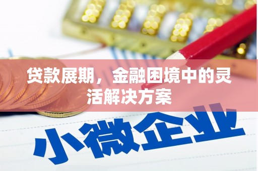 内埔贷款展期，金融困境中的灵活解决方案