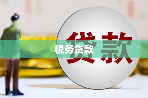 内埔税务贷款