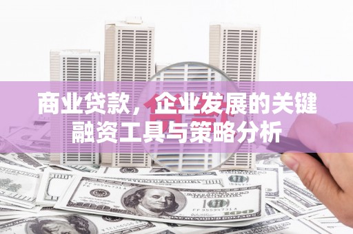 内埔商业贷款，企业发展的关键融资工具与策略分析