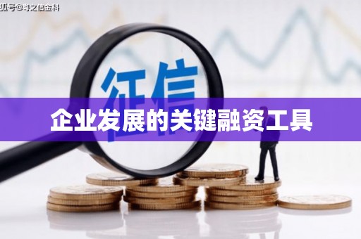 内埔企业发展的关键融资工具